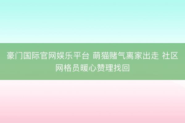 豪门国际官网娱乐平台 萌猫赌气离家出走 社区网格员暖心赞理找回