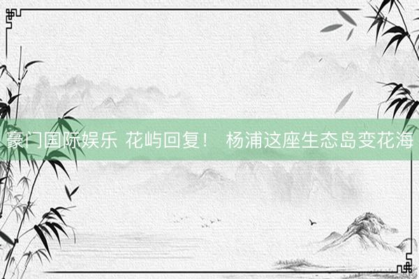 豪门国际娱乐 花屿回复！ 杨浦这座生态岛变花海